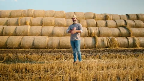 Agriculture Stock Footage 157831193