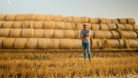 Agriculture Stock Footage 157831208