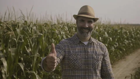 Agriculture Stock Footage 157831244