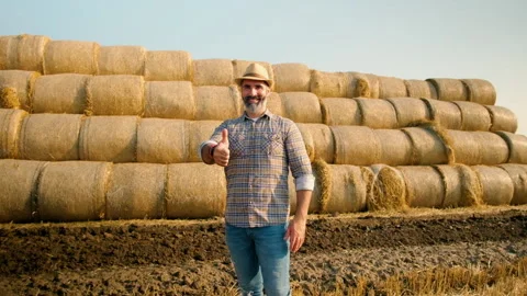Agriculture Stock Footage 157831654