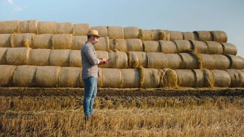 Agriculture Stock Footage 157831739