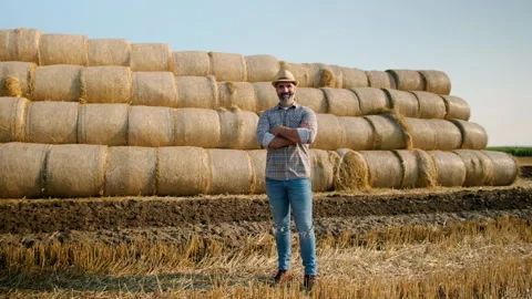 Agriculture Stock Footage 157831853