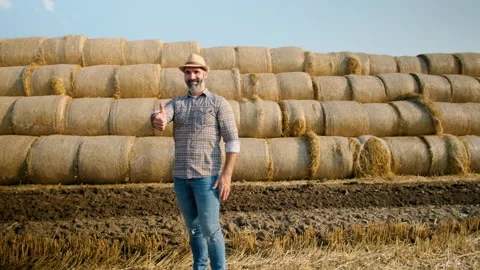 Agriculture Stock Footage 157831891