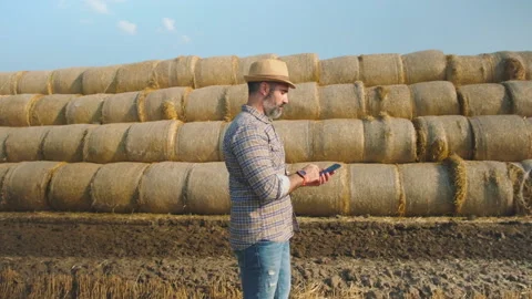Agriculture Stock Footage 157831927