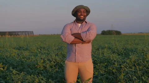 Agriculture Stock Footage 158705935