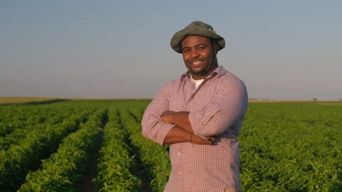 Agriculture Stock Footage 158706289