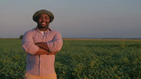 Agriculture Stock Footage 158706406