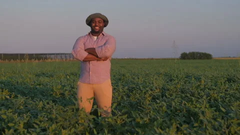 Agriculture Stock Footage 158706448