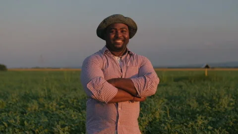 Agriculture Stock Footage 158706526