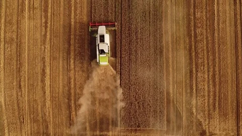 Agriculture  Stock Footage 290242212