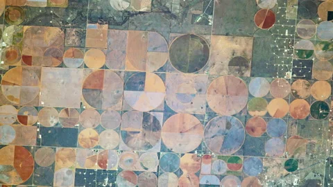 Agriculture giant circular multicolored fields aerial satellite view in Texas Video stock 167130145
