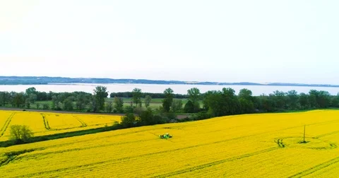Agriculture - GMO background. Stock Footage 76916546