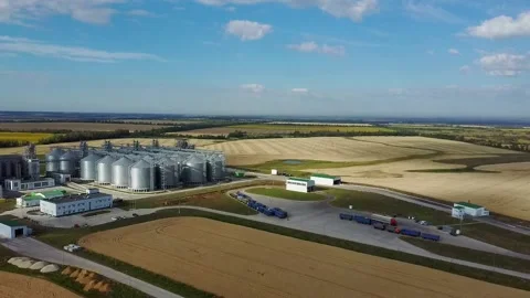 Agriculture grain processing enterprise Video stock 137256507