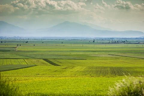 Agriculture - green fields under the mountains Stock Photos