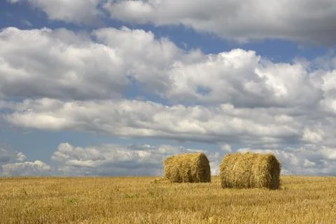 Agriculture - Haystack Stock Photos