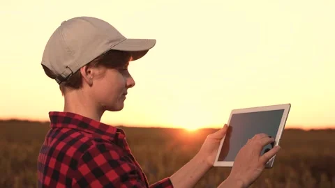 Agriculture industry evolved advent digital technology. man own smart farm can Stock Footage 246959312