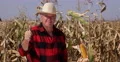 Agriculture Industry Farm Worker Showing Thumbs Up Sign for Best Cornfield Crop 4k or 4k+ Resolution