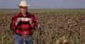 Agriculture Industry Farmland Owner Bio Food Investment Wining Money Concept 4k or 4k+ Resolution