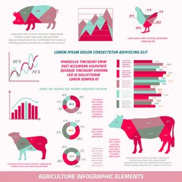Agriculture infographic elements Stock Illustration