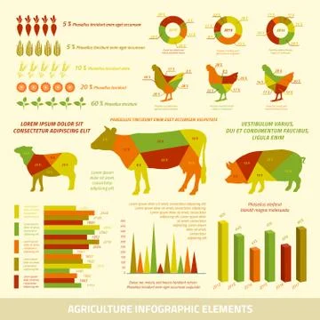 Agriculture infographics flat design elements 스톡 일러스트