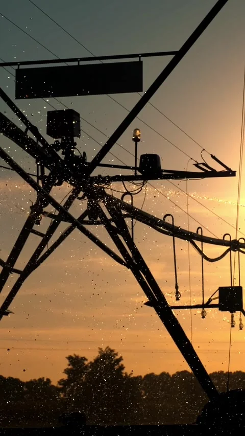 Agriculture irrigation. Irrigation system. automatic artificial irrigating Stock Footage 306481211