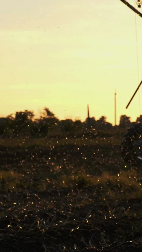 Agriculture irrigation. Irrigation system. automatic artificial irrigating Stock Footage 315565380