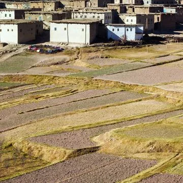Agriculture in  Moroccan Berber village Stock Photos