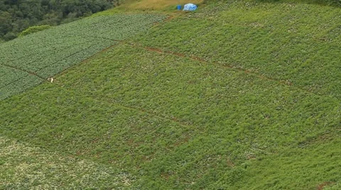 Agriculture in the mountains. Stock Footage 11439476
