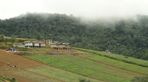 Agriculture in the mountains. Stock Footage 11461789