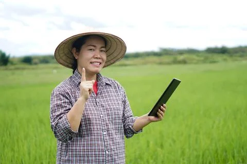 Agriculture occupation, using wireless technology device to research. Smart farm Stock Photos