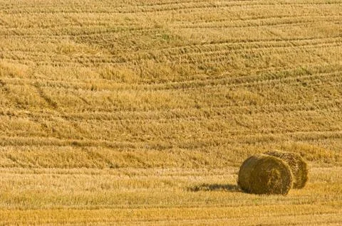 Agriculture Stock Photos