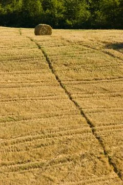 Agriculture Stock Photos