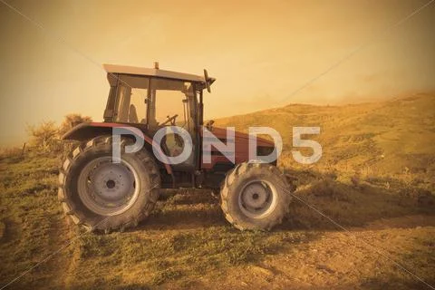 Agriculture Stock Photos