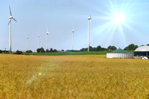 Agriculture Stock Photos