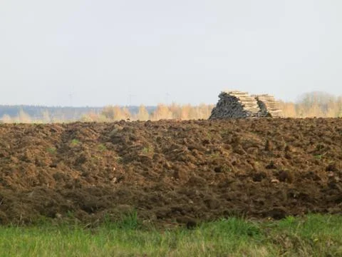 Agriculture Stock Photos