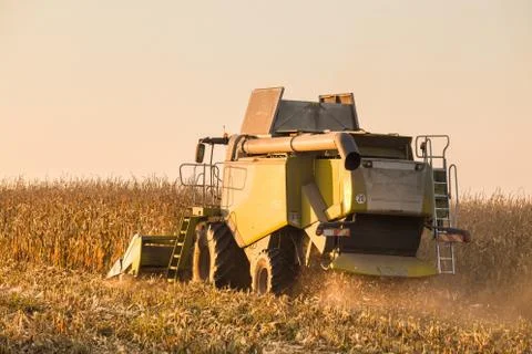 Agriculture Foto stock