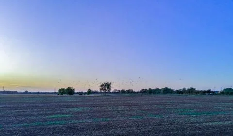 Agriculture 스톡 사진
