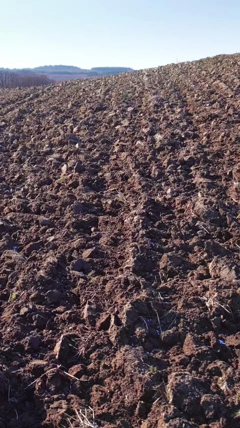 Agriculture, plowed field, ground surface, low drone motion view, vertical reel Stock Footage 283344743