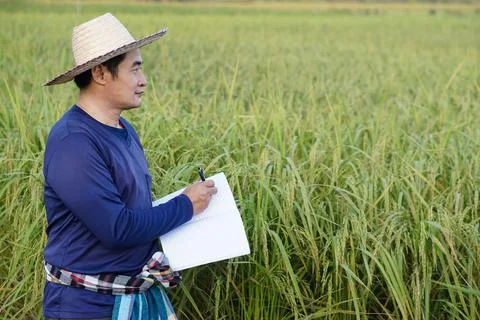 Agriculture research and study to develop crop Stock Photos