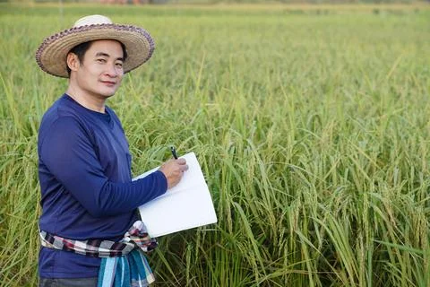 Agriculture research and study to develop crops. Stock Photos