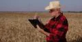Agriculture Specialist Study Ear Wheat Harvest Grain Production Notes Clipboard 4k or 4k+ Resolution