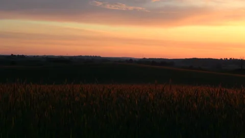 Agriculture sunset Stock Footage 212689420