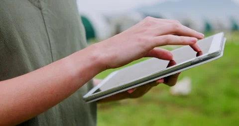 Agriculture, tablet and hands on chicken farm for inspection, poultry health and Stock Footage 335932017