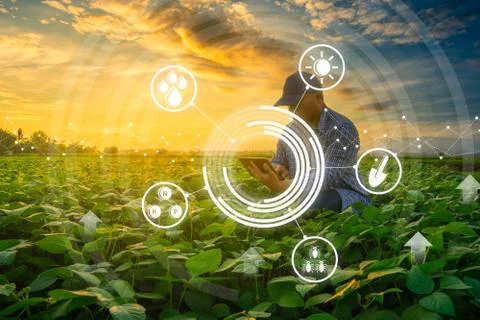Agriculture technology concepts by farmer using smartphone in garden Stock Photos