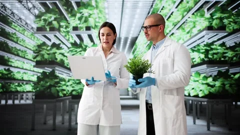 Agriculture Technology Lab Students Doing Food Farming Stock Footage 310804197
