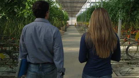 Agriculture, Technology, Laptop, Using Laptop, Dolly Shot, Tracking Shot, Medium Stock Footage 94009655
