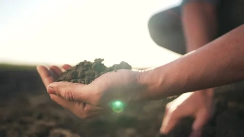 Agriculture. Top layer of soil in hands of the farmer. Fertile land in garden Vidéo 201261316