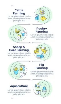Agriculture types infographic vertical sequence Illustrazione stock