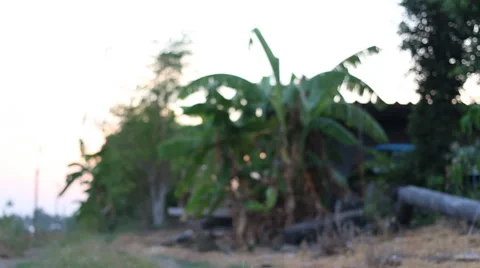Agriculture view blur Stock Footage 49927115