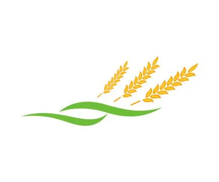 Agriculture wheat Logo Template Stock Illustration